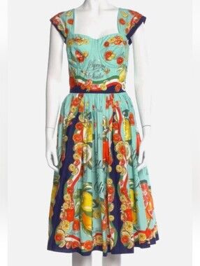 Dolce Gabbana 48/14 Fruit & Floral Print Cotton Fit & flare Dress PRISTINE!